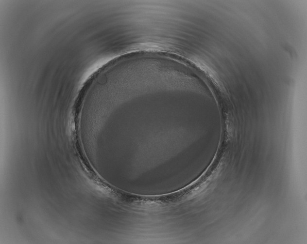 X0000111021070200906261536