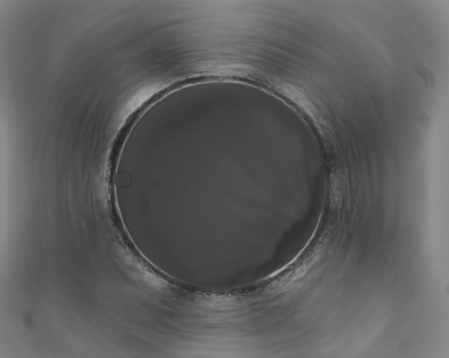 X0000111021071200906261536