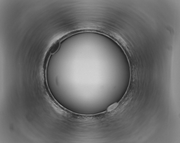 X0000111021072200906261535