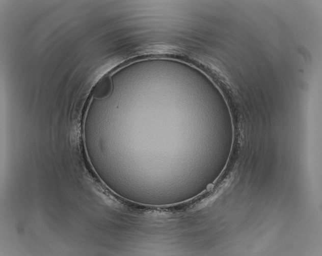 X0000111021073200906261535