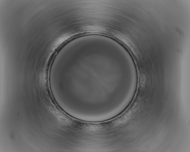 X0000111021074200906261535