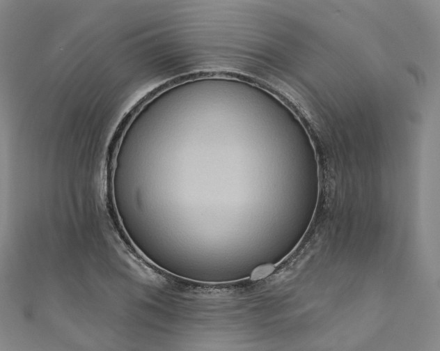 X0000111021076200906261535