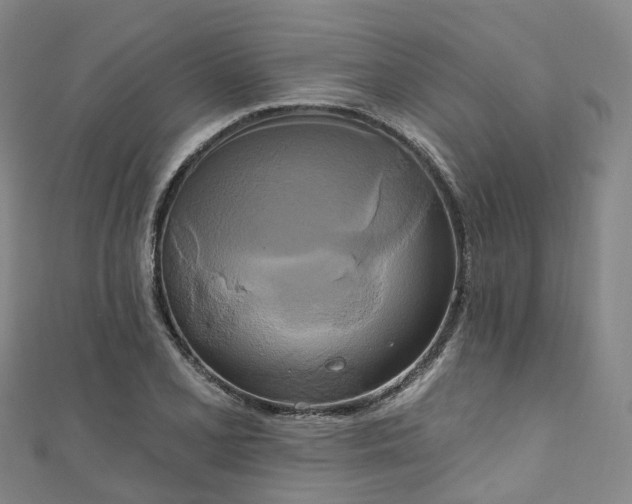 X0000111021077200906261535