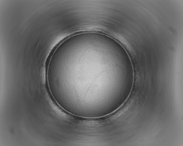 X0000111021079200906261535