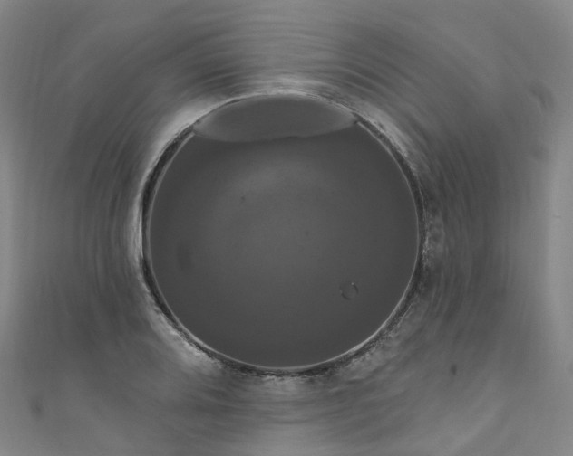 X0000111021080200906261535