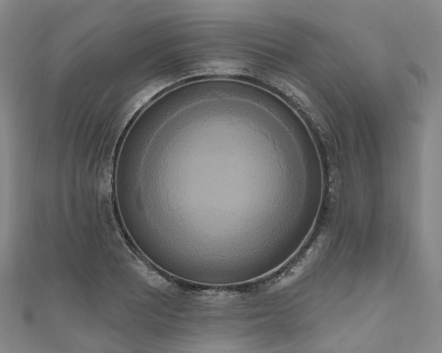 X0000111021081200906261535