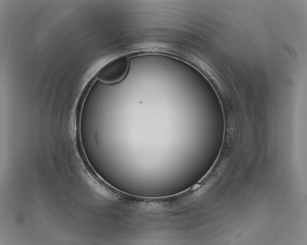 X0000111021082200906261535