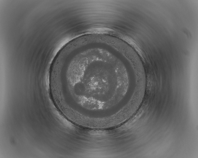 X0000111021083200906261535