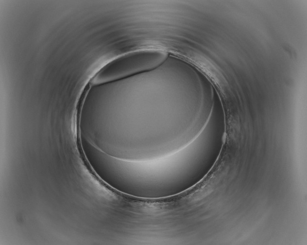 X0000111021084200906261535