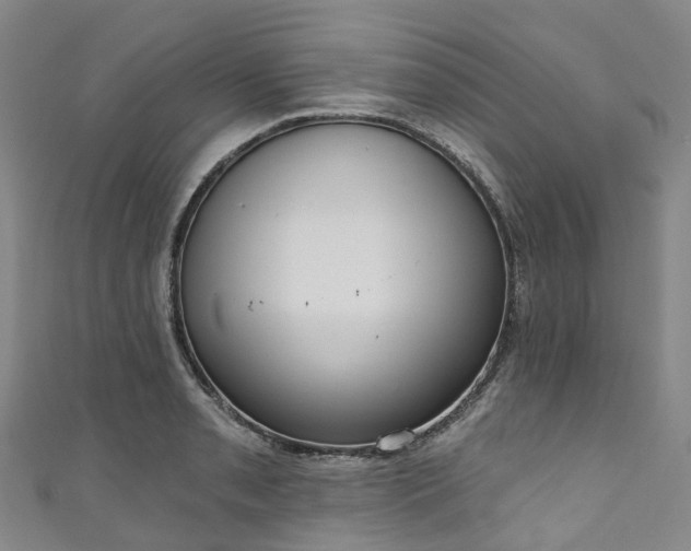 X0000111021085200906261535