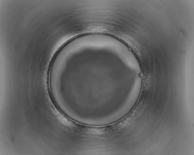 X0000111021086200906261535