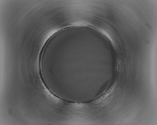 X0000111021087200906261535
