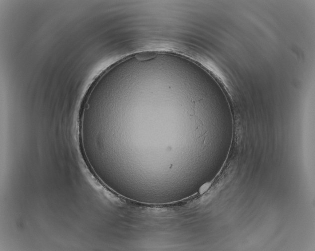 X0000111021088200906261535