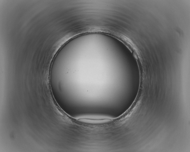 X0000111021089200906261535