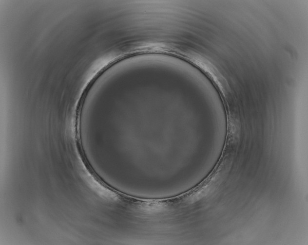 X0000111021090200906261535
