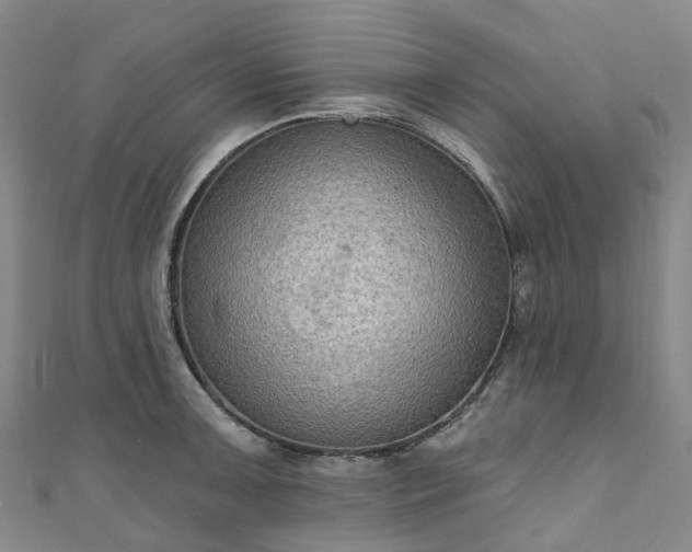 X0000111021091200906261535
