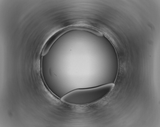 X0000111021092200906261535