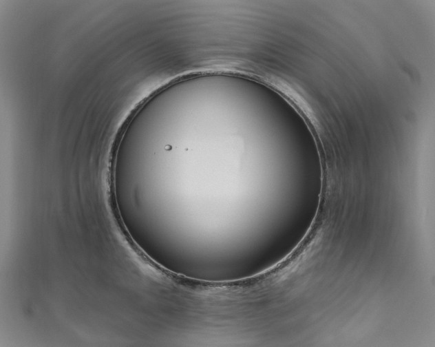 X0000111021093200906261535