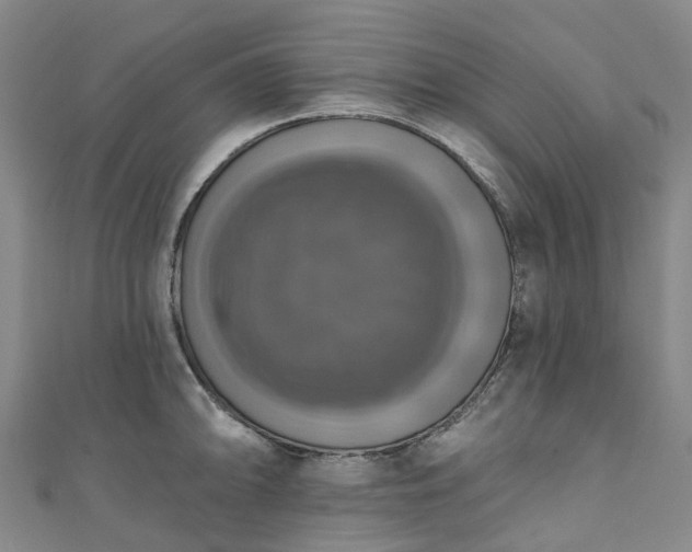 X0000111021094200906261535