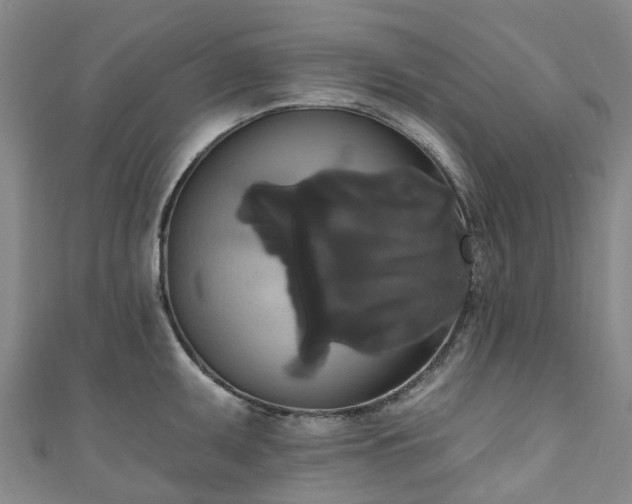 X0000111021095200906261535