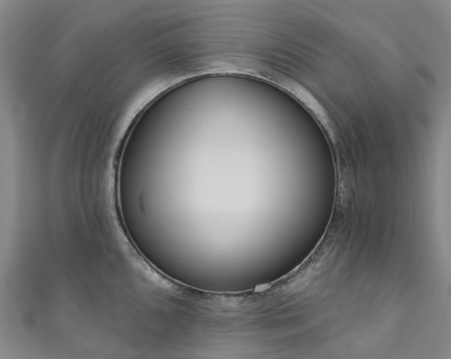 X0000111021096200906261535