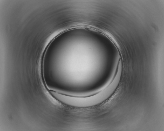 X0000111021098200906261535