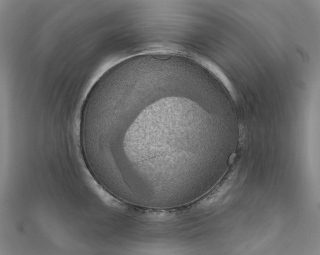 X0000111021099200906261535