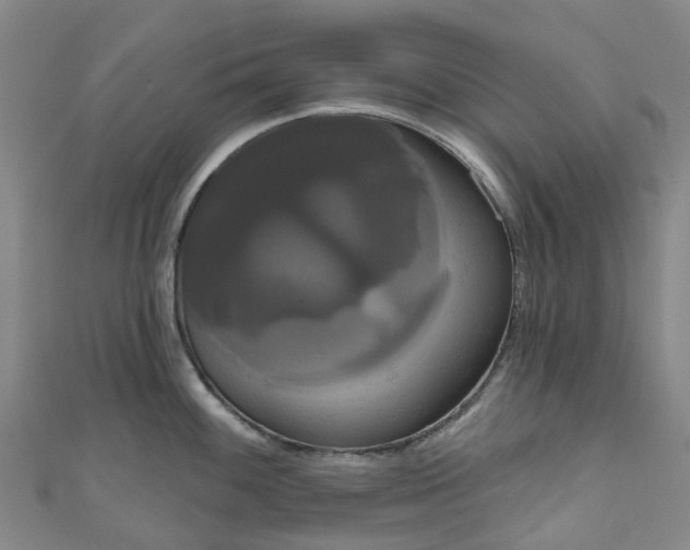 X0000111021100200906261535