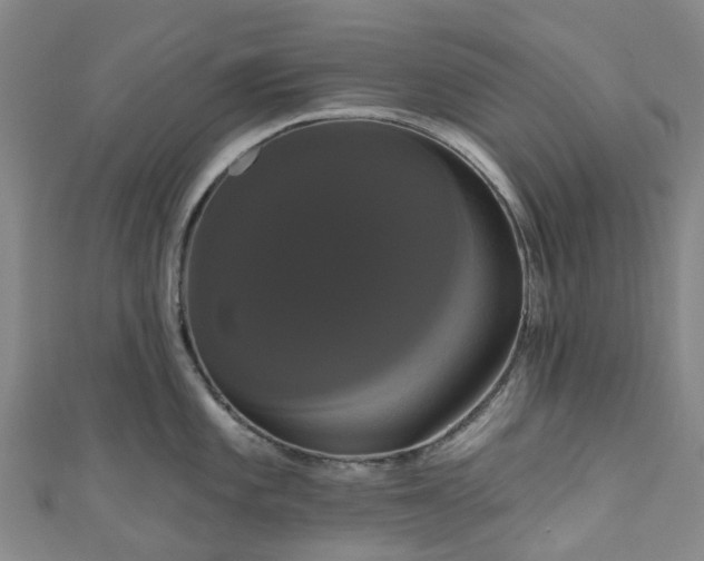 X0000111021101200906261535