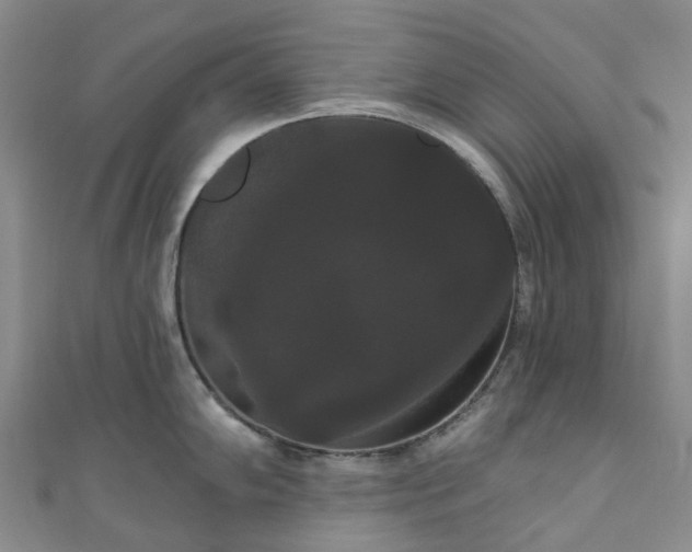 X0000111021102200906261535