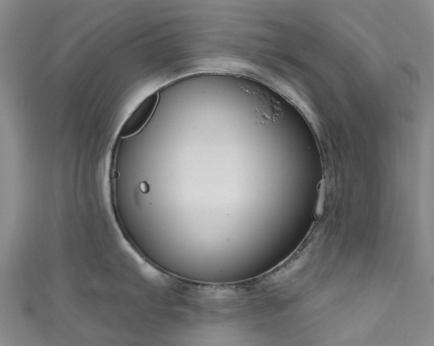 X0000111021103200906261535