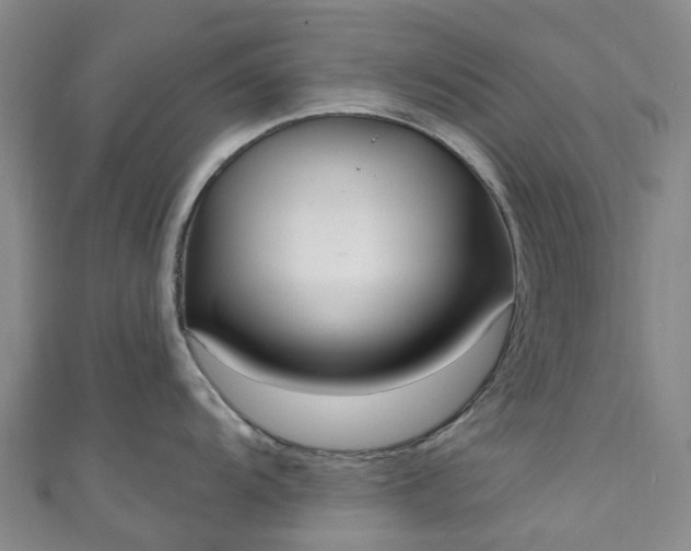 X0000111021104200906261535