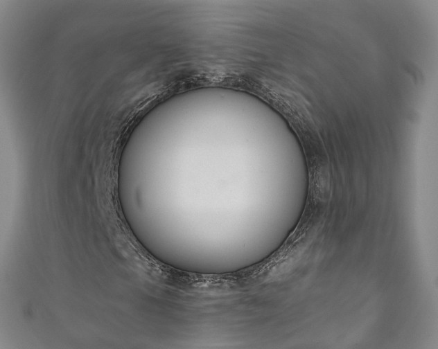 X0000111021105200906261534