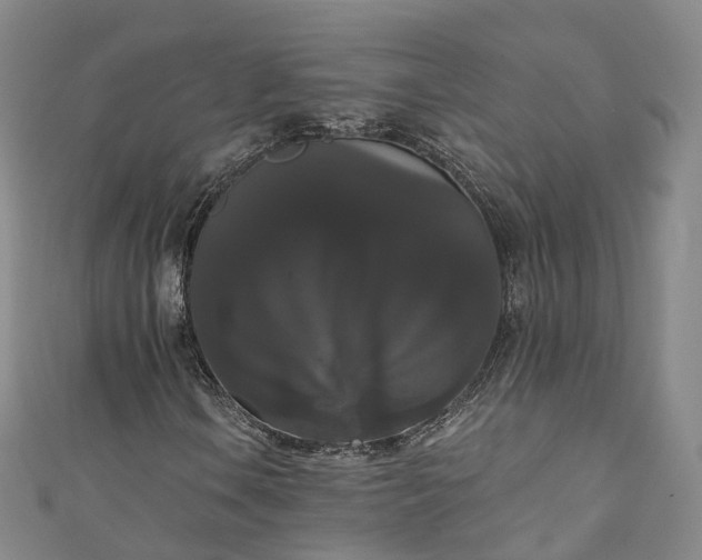 X0000111021106200906261534
