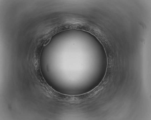 X0000111021109200906261535