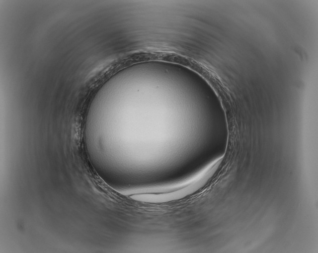 X0000111021110200906261535