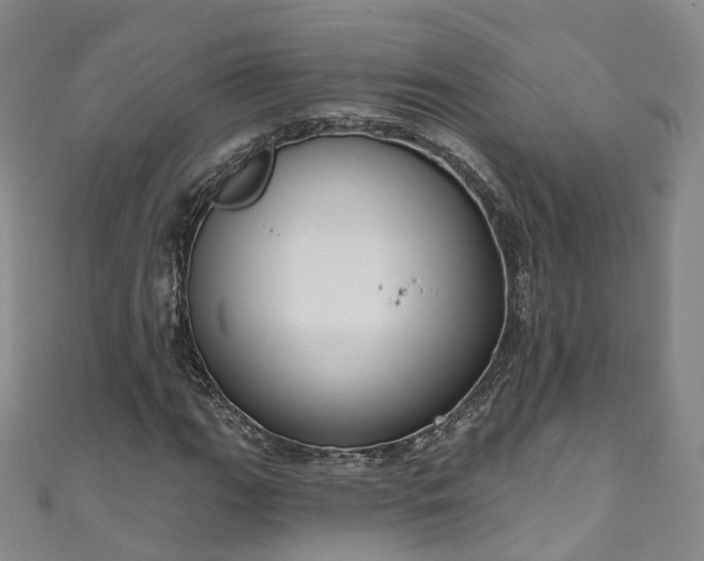 X0000111021111200906261535