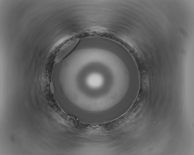 X0000111021112200906261535