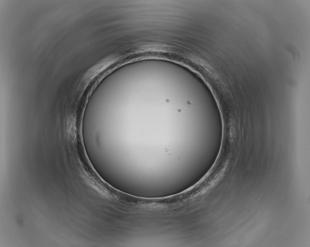 X0000111021113200906261535