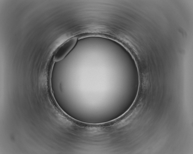 X0000111021114200906261535
