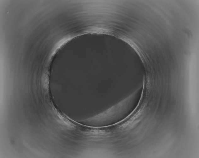 X0000111021115200906261535