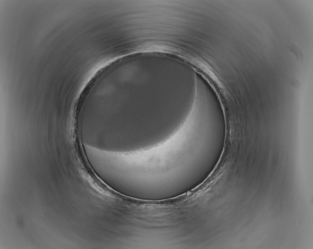 X0000111021116200906261535