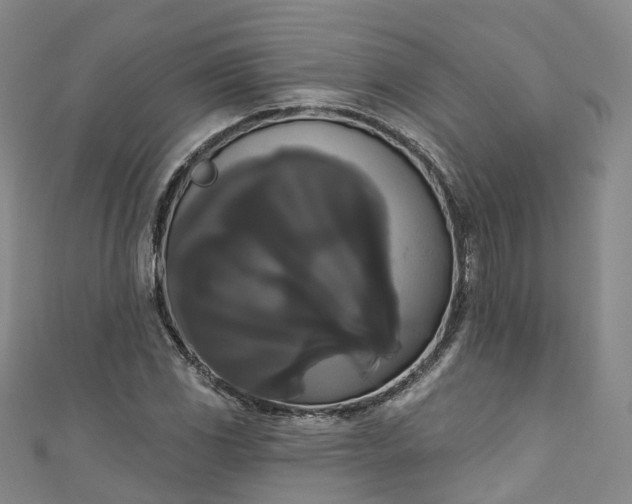 X0000111021117200906261535