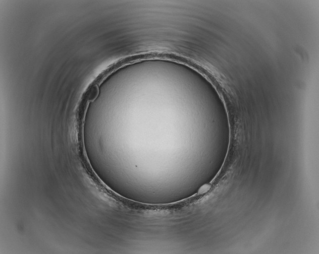 X0000111021118200906261535
