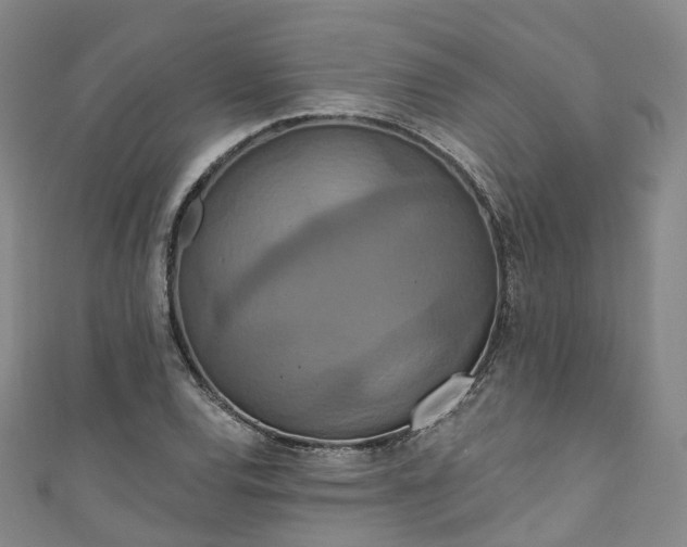 X0000111021120200906261535