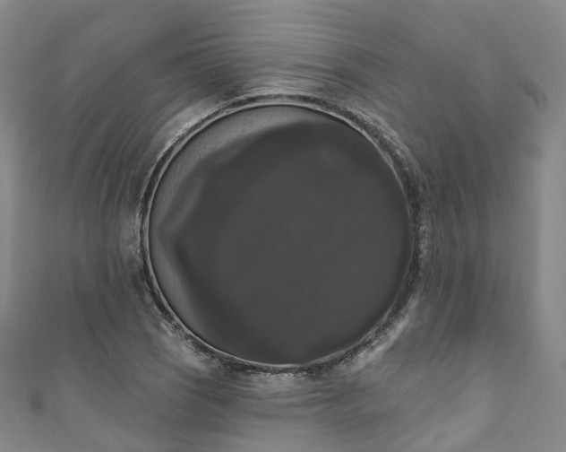 X0000111021121200906261535