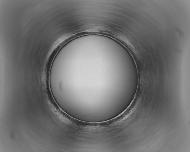 X0000111021122200906261535