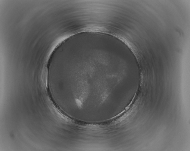 X0000111021123200906261535