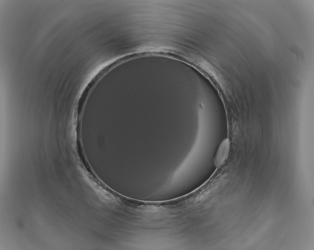 X0000111021124200906261535