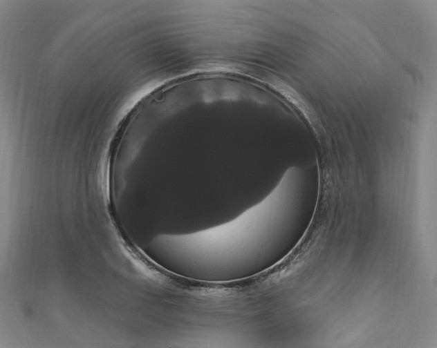X0000111021127200906261535